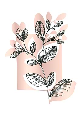 Minimalist Eucalyptus