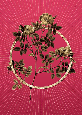 Viva Magenta Rose Corymb