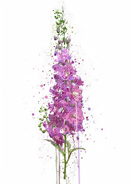 Flower Delphiniums