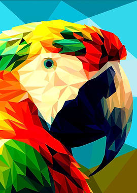 Macaw