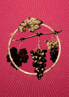 Viva Magenta Summer Grape