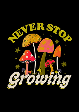 Never Stop Growing