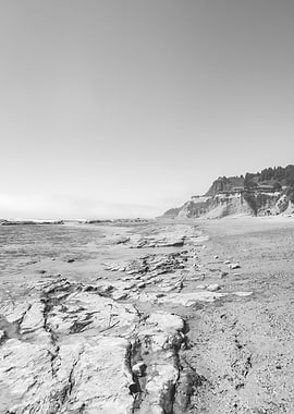 Oregon Coast Beach PNW