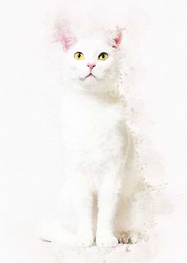 Watercolor Cat Cute