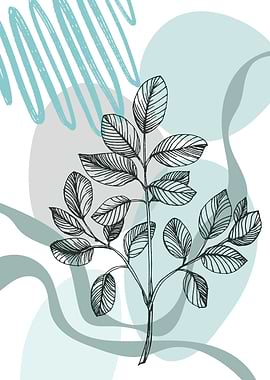 Eucalyptus Botanical