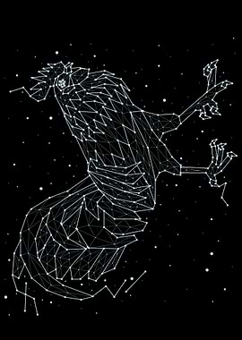 constellation animal 6