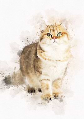 Watercolor Cat Cute