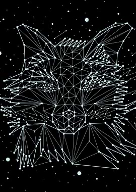 constellation animal 10