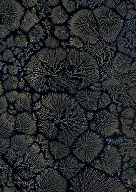 he World Of Crystals XII