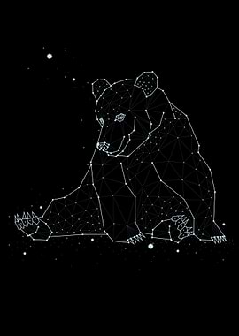 constellation animal 2