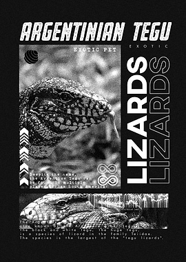 Argentine Tegu Modern