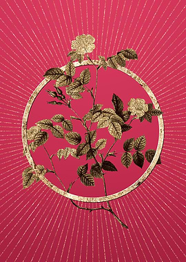 Sweetbriar Rose on Magenta