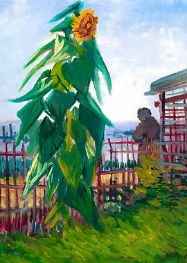 Allotment with Sunflower