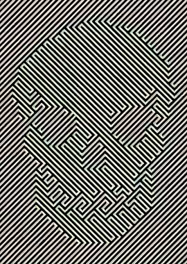 Skull Illusion art