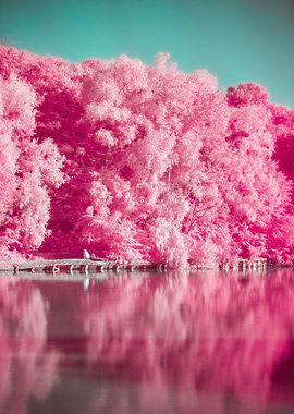 Spectacular Pink Riverbank