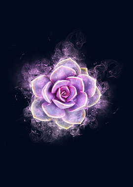 succulent flower smoke