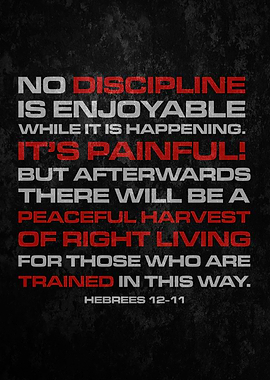Discipline