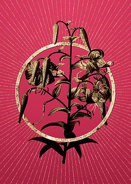 Tiger Lily on Viva Magenta