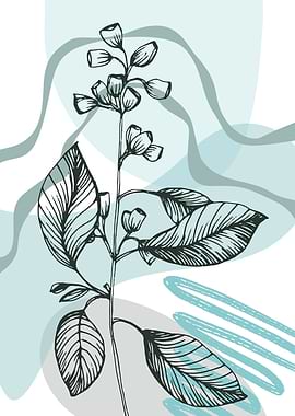 Eucalyptus Minimalist