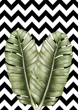 Two tropical leaves 01