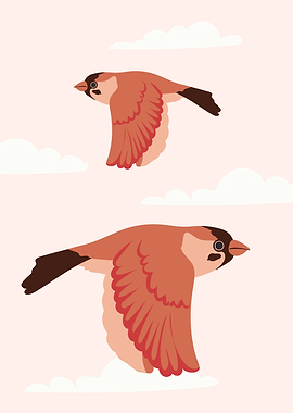 Birds Flying on the Sky