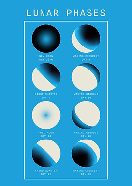 The Lunar Phases