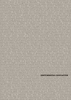 Sentimental Education Text