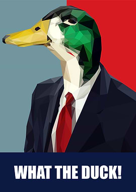 what the duck