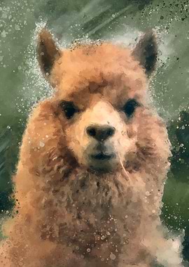 Digital Painting of a lama