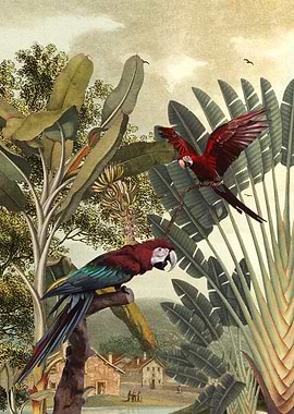 Parrot Garden
