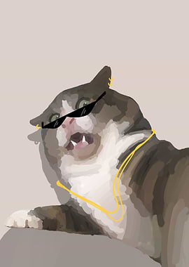 meme cat swag