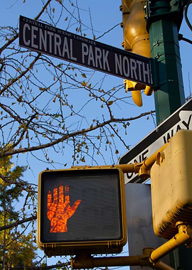 Central Park traffic light
