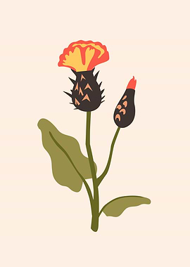 Botanic garden flowers