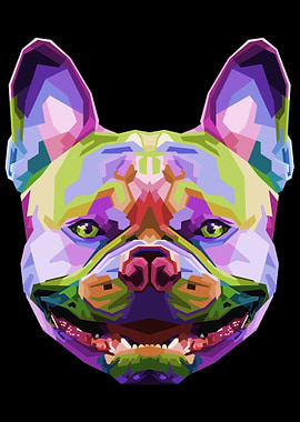 French bulldog