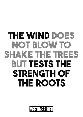 Silver Motivational Quotes