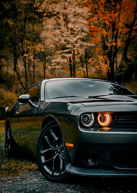 dodge