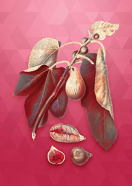 Vintage Monaco Fig on Red