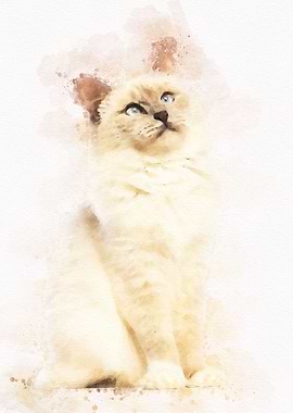 Cute Cat Watercolor