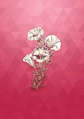 Gold Sky Blue Alona Flower