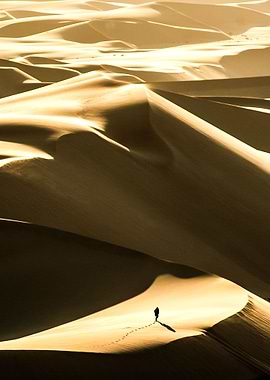 Adventuring The Dunes