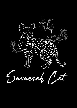 Savannah Cat Savannah Cat