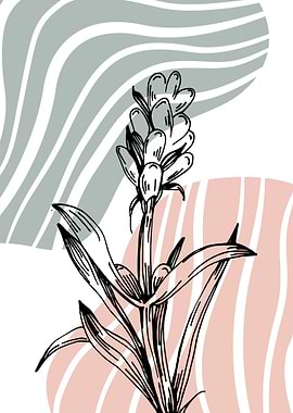 Minimal Contemporary