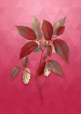 Gold American Hophornbeam