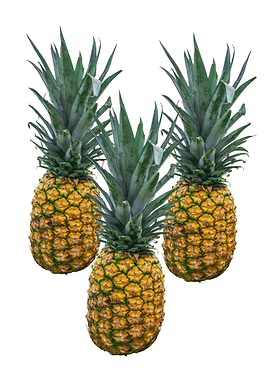 3 beauty pineapple