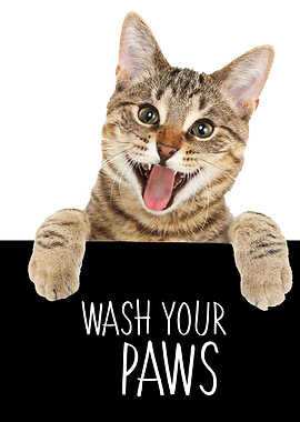 WASH YOUR PAWS BENGAL