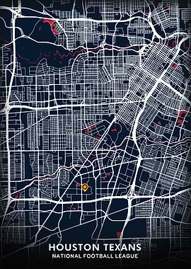 Houston Texans