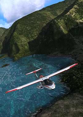 Aircraft Microsoft Flight