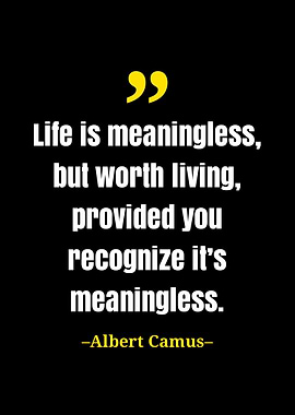 Albert camus quote