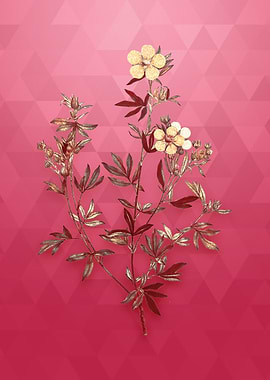 Yellow Buttercup Flowers