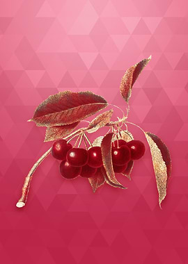 Cherry on Viva Magenta